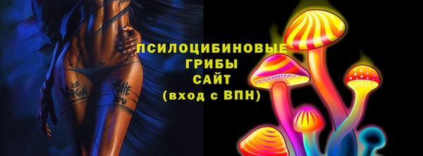 скорость Алзамай